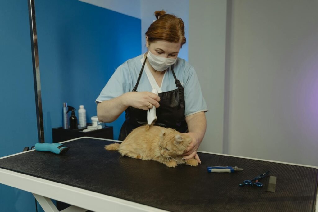 Servicios veterinarios en Córdoba
