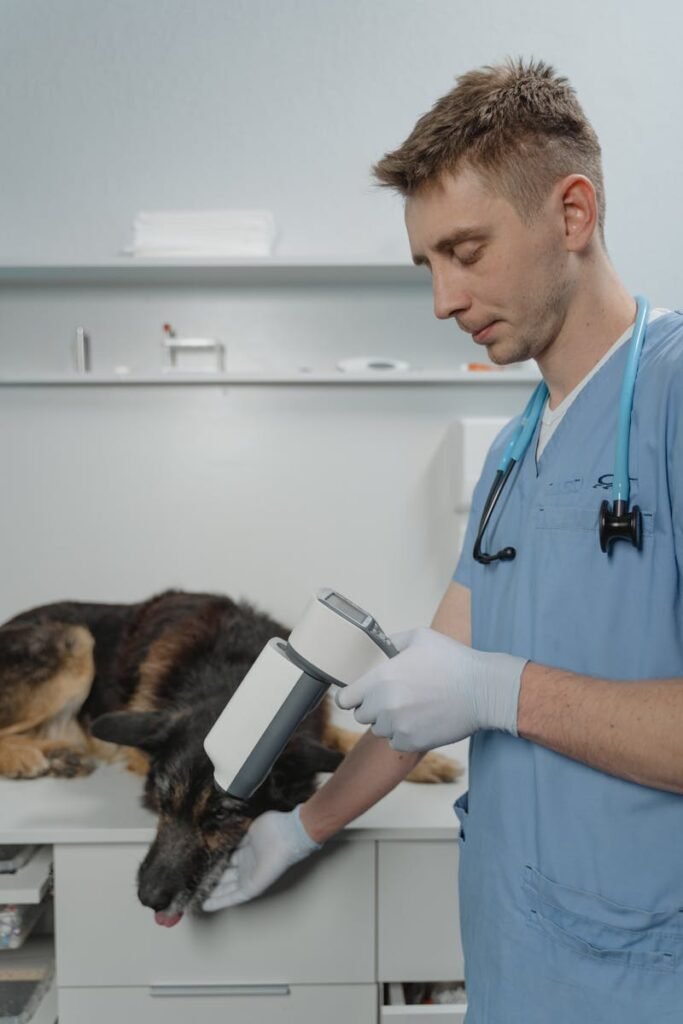 Veterinaria en Córdoba