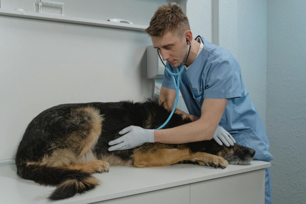 Servicios veterinarios en Córdoba